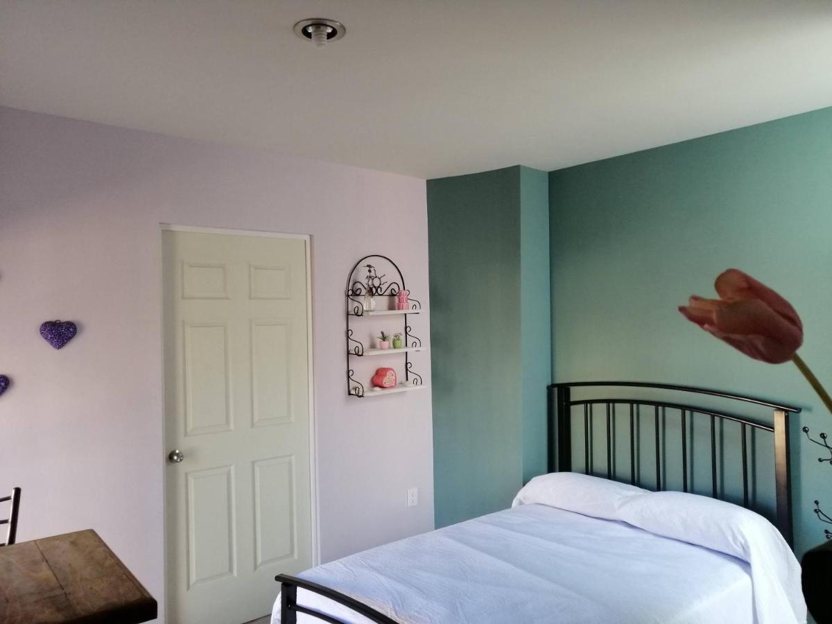 Casa Nikte Apartment Zacatecas Bagian luar foto